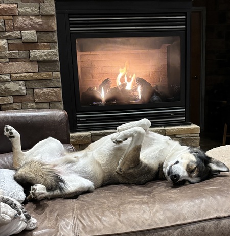 Entry image for Drax. Clicking this image will show a larger photo