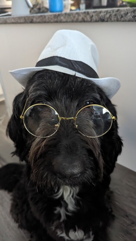 Entry image for Hops. Clicking this image will show a larger photo