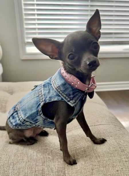 Entry image for Veronica May. Clicking this image will show a larger photo