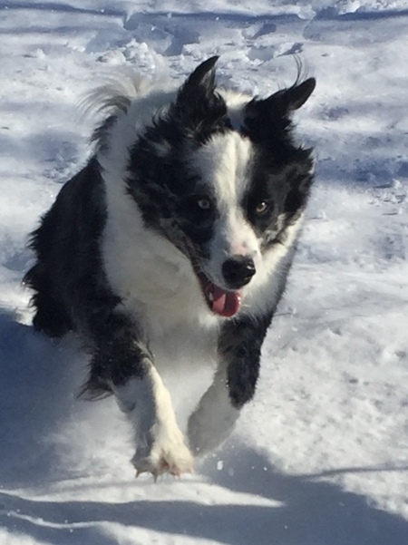 Entry image for Thörsten. Clicking this image will show a larger photo