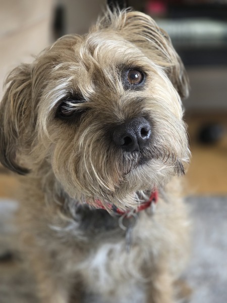 Entry image for Robbie.. Clicking this image will show a larger photo