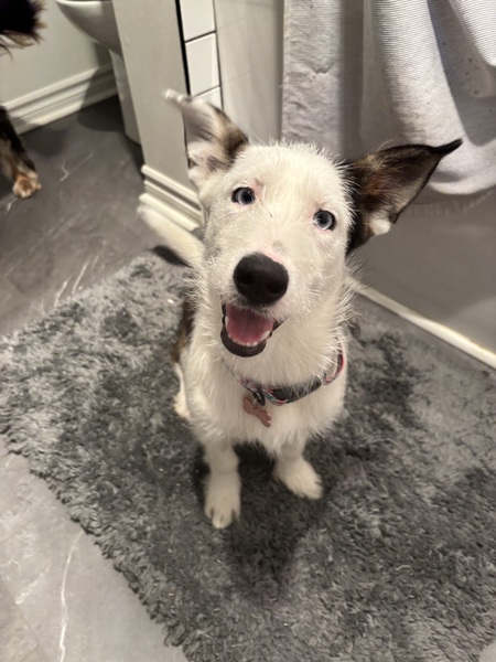 Entry image for Louise . Clicking this image will show a larger photo