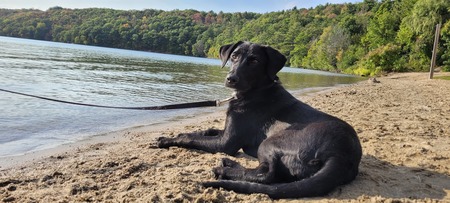 Entry image for Sheena. Clicking this image will show a larger photo