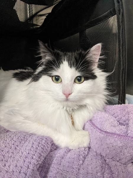 Entry image for Mathilda . Clicking this image will show a larger photo