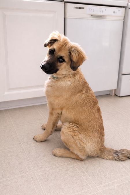 Entry image for Sport. Clicking this image will show a larger photo