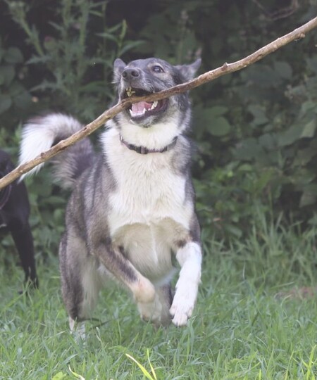 Entry image for Uki. Clicking this image will show a larger photo