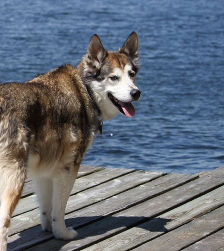 Entry image for Tuk. Clicking this image will show a larger photo