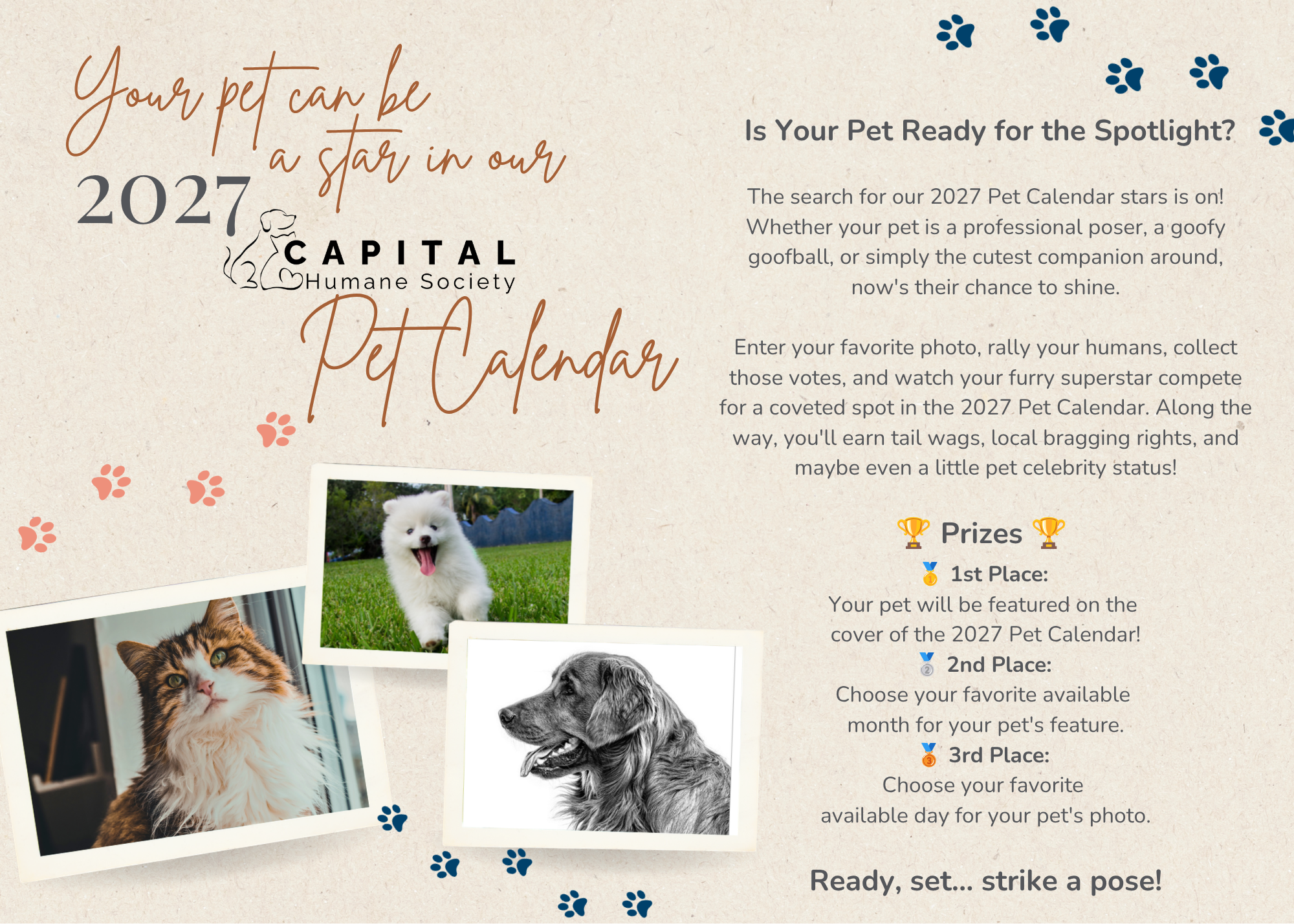 Banner for 2027 Pet Calendar Photo Contest