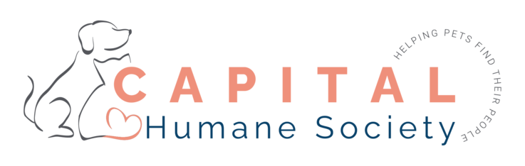 Logo for 2027 Pet Calendar Photo Contest