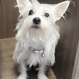 Entry image for Nami