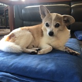 Entry image for Rusty