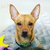 Entry image for Burrito