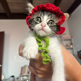 Entry image for Mako