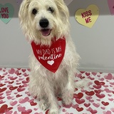 Entry image for Mika