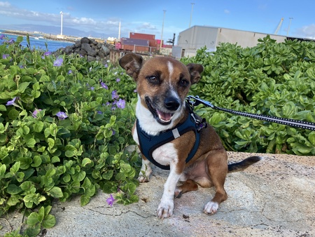 Entry image for TONO. Clicking this image will show a larger photo