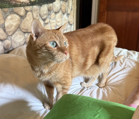 Entry image for Melemele. Clicking this image will show a larger photo