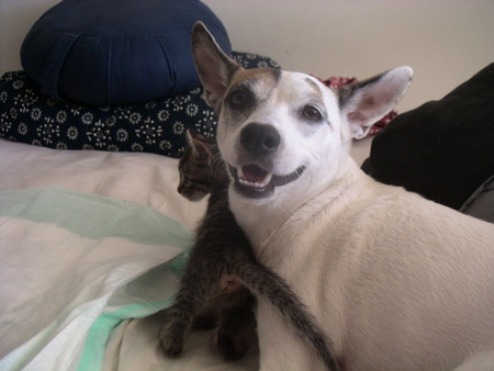 Entry image for Abby. Clicking this image will show a larger photo