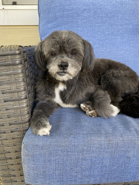 Entry image for Max. Clicking this image will show a larger photo