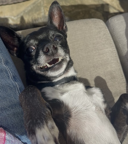 Entry image for Jin Jam . Clicking this image will show a larger photo