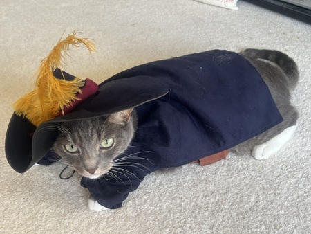 Entry image for FIJI. Clicking this image will show a larger photo