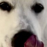 Entry image for Tater