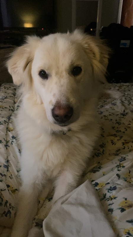 Entry image for Odin Aksel. Clicking this image will show a larger photo