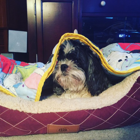 Max