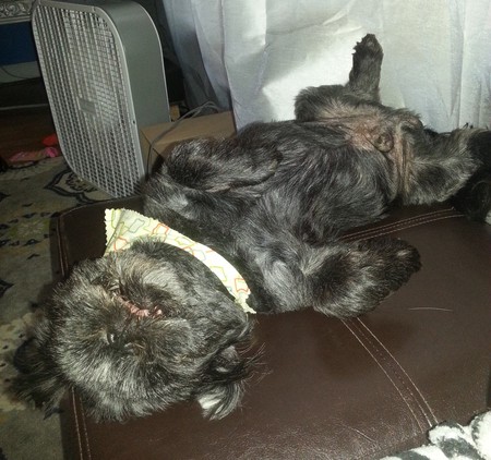 Samuel - "Life is SO hard now!"