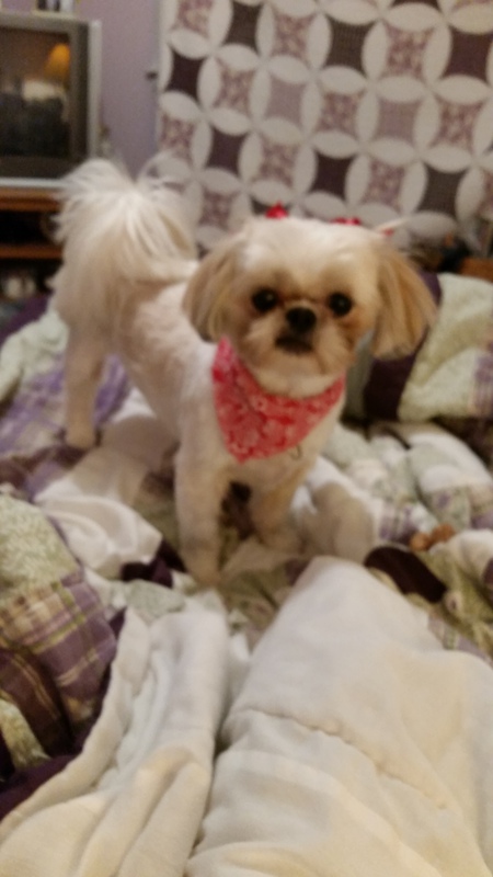 Lucy