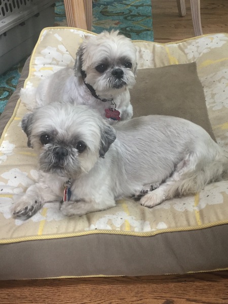 Mickey  & Sabrina