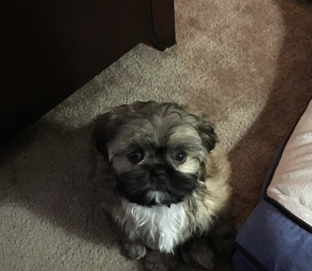 Charlie 