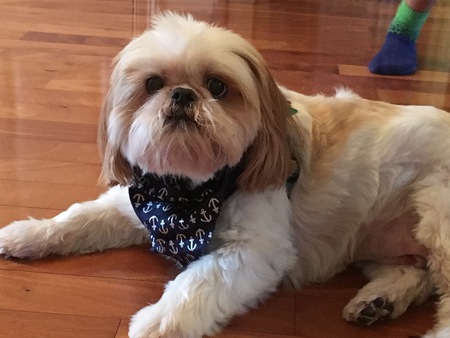 Benji