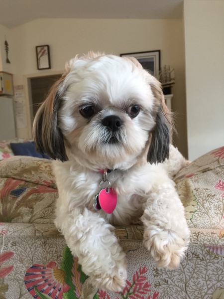 Tula Girl
