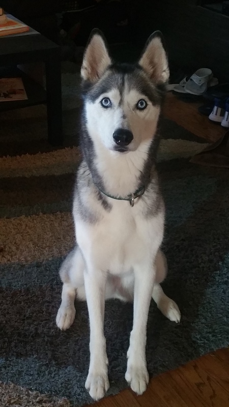 Bella