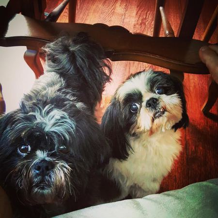 Buddy & Corndog