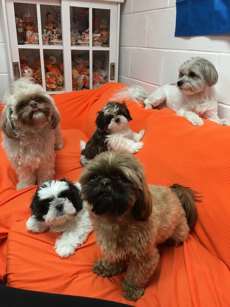 Manning, Summitt, Payton, Nayland, and Abbey