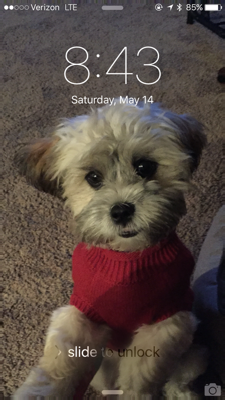 Cooper