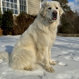Entry image for Maddie