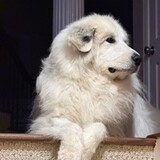 Entry image for Cassie