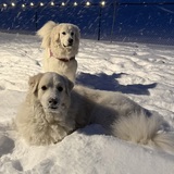 Entry image for Winter and May
