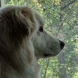 Entry image for Mikey