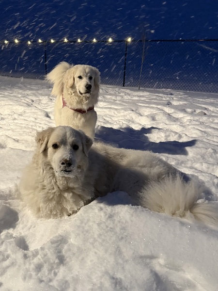 Entry image for Winter and May. Clicking this image will show a larger photo
