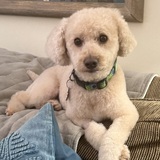 Entry image for Tucker