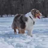 Entry image for Colby