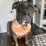 Entry image for Raven