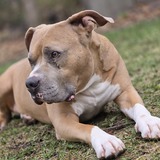 Entry image for Juice