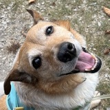 Entry image for Martha