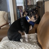 Entry image for Karley Q