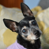 Entry image for Violet