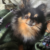 Entry image for Winnie